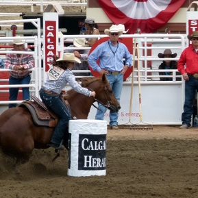 pixabay-barrel-racing-53293