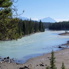 pixabay-jasper-provincial-park-518146-copy